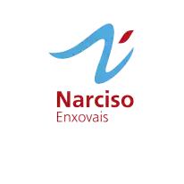 narciso-1.webp